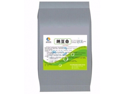 納豆命