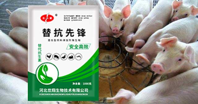 生物飼料在養(yǎng)殖生產(chǎn)中的應(yīng)用