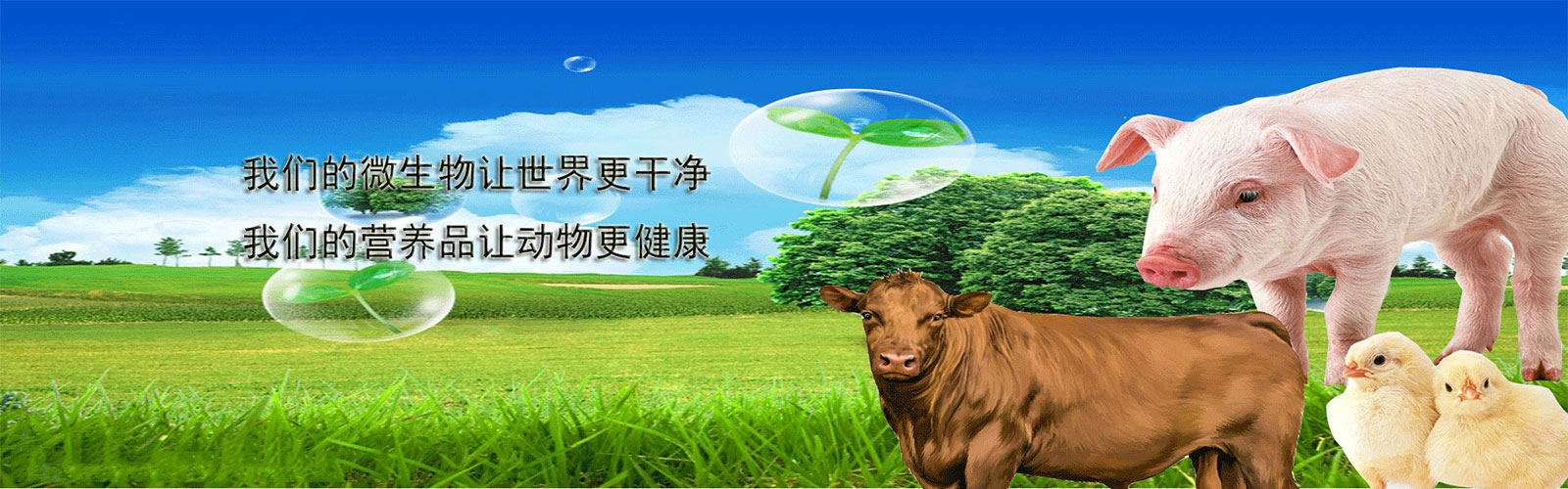 幻燈片
